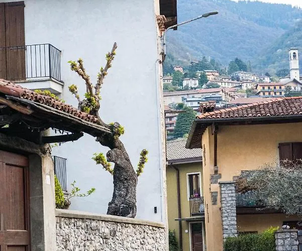 Appartement Cadepulan - *