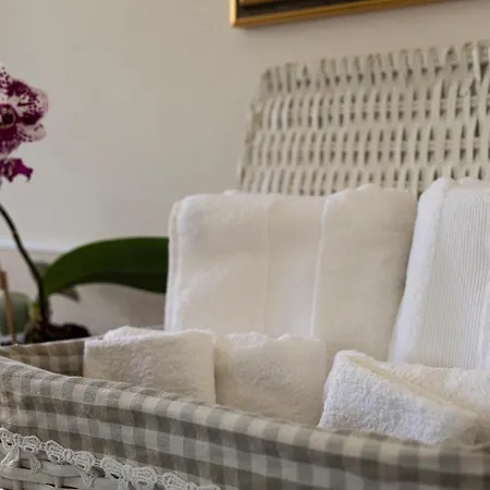 Cadepulan - * 코모